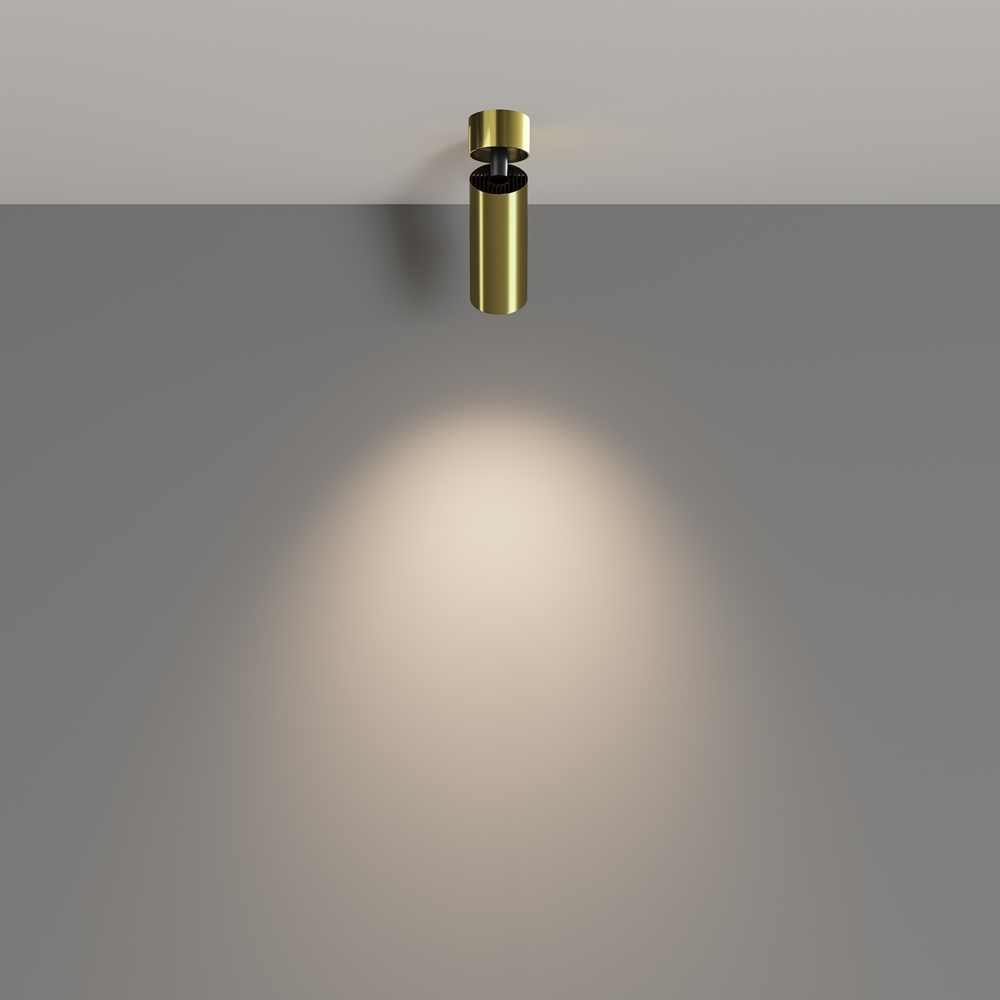 Потолочный светильник Фокус / FOCUS LED 12 Вт 4000 К 50°