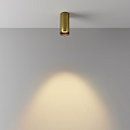 Потолочный светильник Фокус / FOCUS LED 12 Вт 2700 К 50°